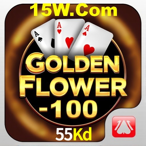 Interface Premium 55Kd